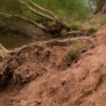 Riverbank Collapse Iford Playing Fields