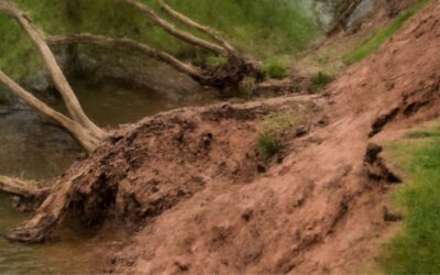 Riverbank Collapse Iford Playing Fields